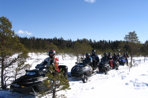 Challenge yourself on a snowmobile safari through the picturesque nature on a fast and powerful machine. The guided adventure drive takes you through a varied winter landscape including forests and fields.